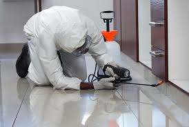Pest Control & Fumigation Services Nairobi